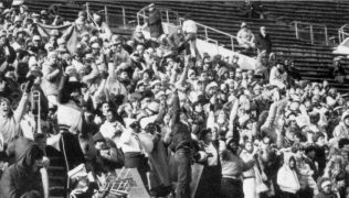 Photo courtesy of The 1982 Bengal